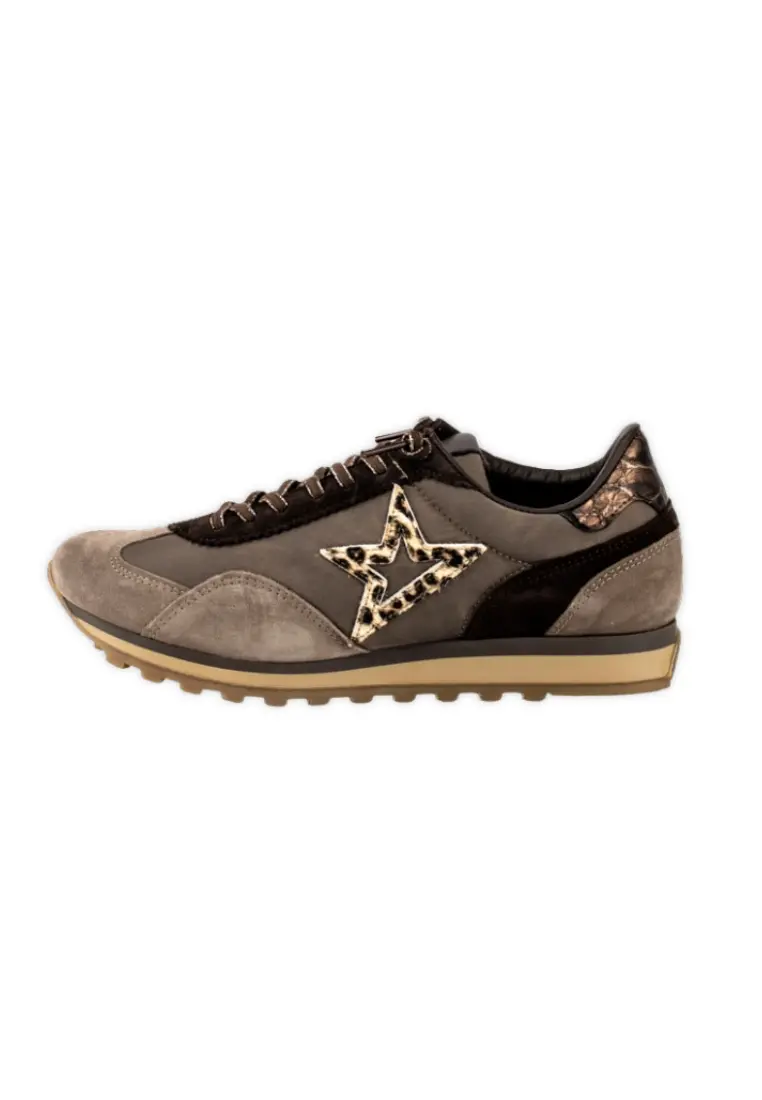 Deportiva de Cetti C-1259 Ante Mesh Café